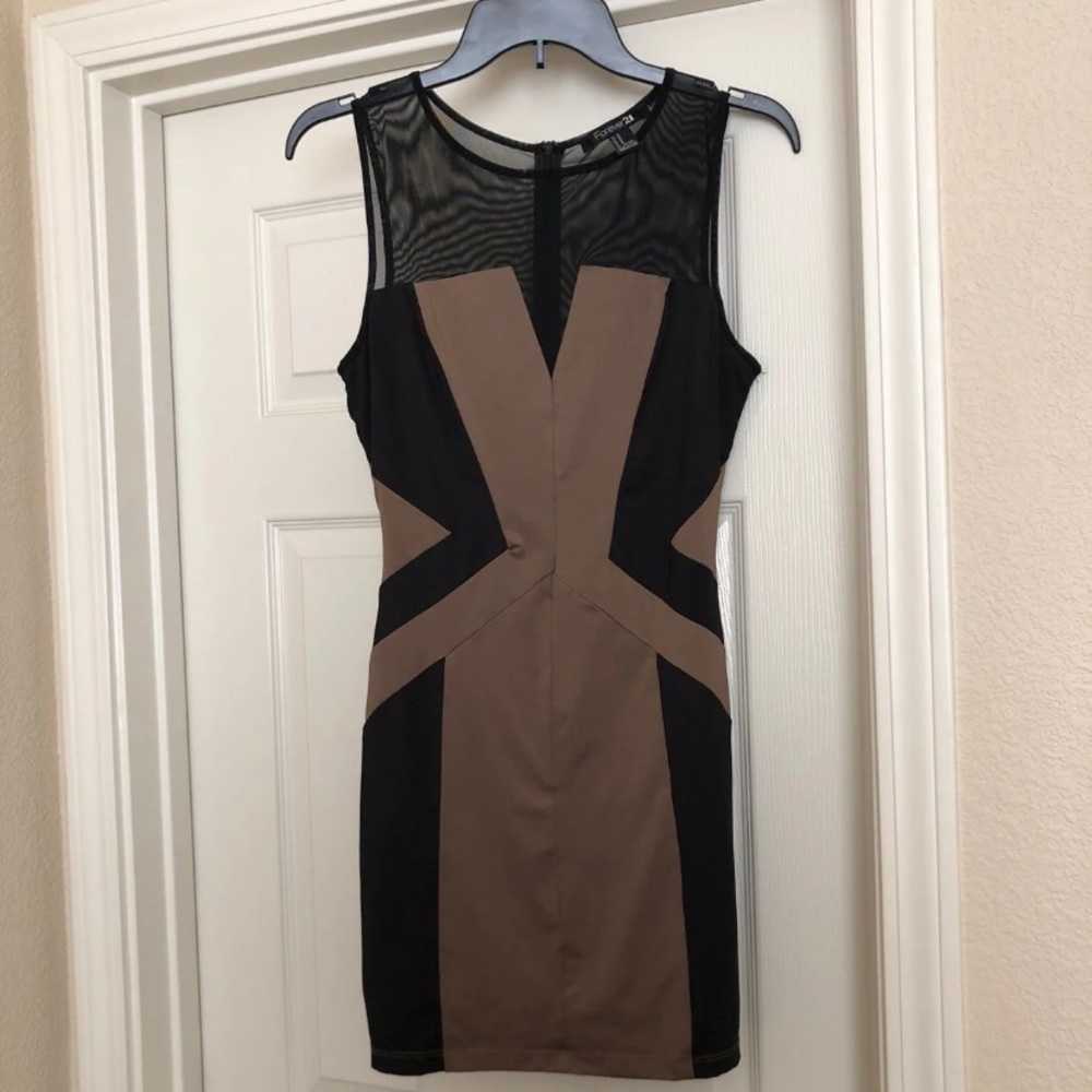 Forever21 Mesh Dress